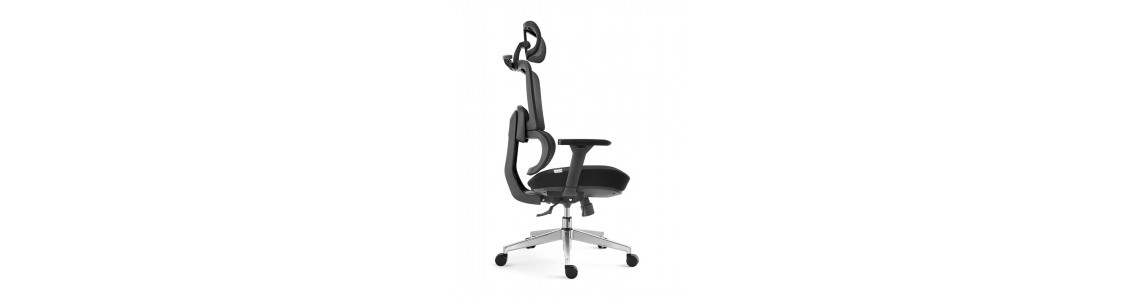 Ergonomic chairs