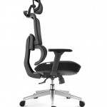 Ergonomic chairs