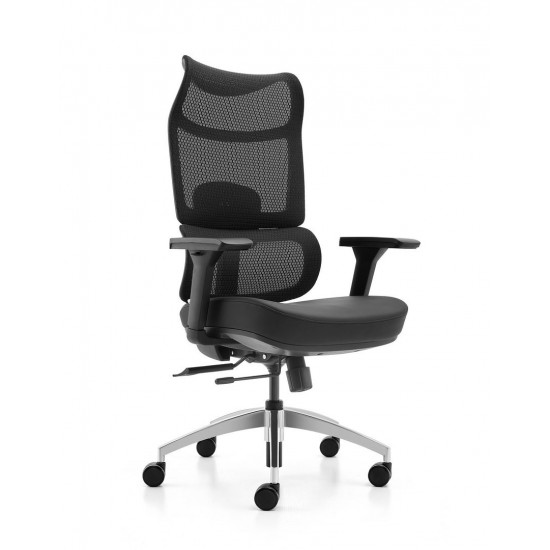 High Back Mesh Ergonomic BIFMA Office Chair: 2309A