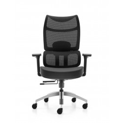 High Back Mesh Ergonomic BIFMA Office Chair: 2309A