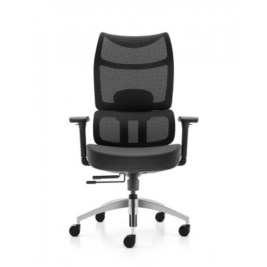 High Back Mesh Ergonomic BIFMA Office Chair: 2309A