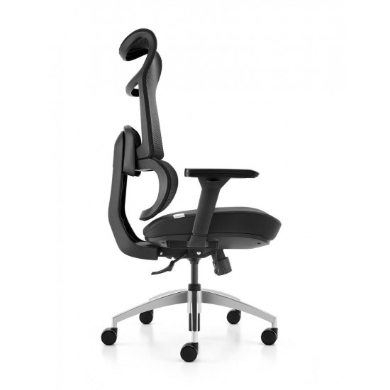 High Back Mesh Ergonomic BIFMA Office Chair: 2309A