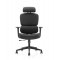 Bionic Ergonomic BIFMA Office Chair: 2318