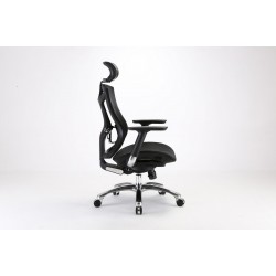 Bionic Mesh Office Chair BIONICV1