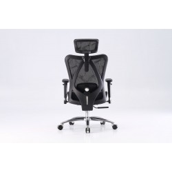 Bionic Mesh Office Chair Matrix M57