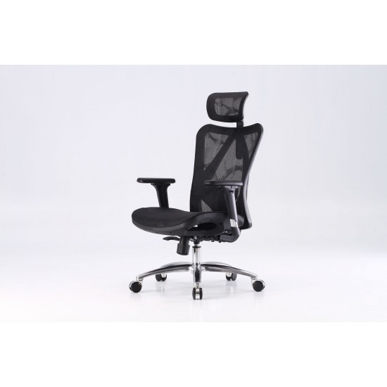 Bionic Mesh Office Chair Matrix M57