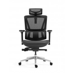 Ergonomic Bionic Mesh Office Chair: SL618