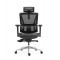 Ergonomic Bionic Mesh Office Chair: SL618