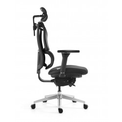 Ergonomic Bionic Mesh Office Chair: SL618