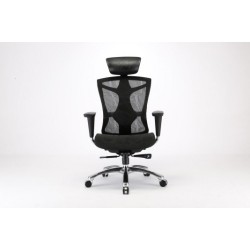 Bionic Mesh Office Chair BIONICV1
