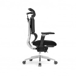 New Design Ergonomic Mesh Office Chair & 2d Headrest With Cloth Hanger: Apex-H (5D arm)