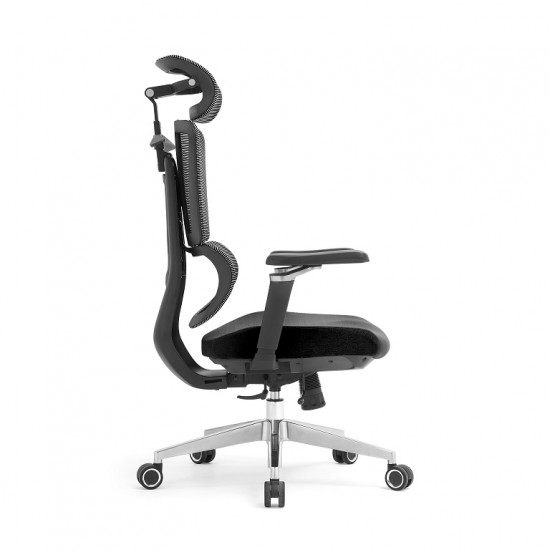 New Design Ergonomic Mesh Office Chair & 2d Headrest With Cloth Hanger: Apex-H