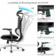 New Design Ergonomic Mesh Office Chair & 2d Headrest With Cloth Hanger: Apex-H