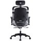 High Back Orthopaedic Ergonomic BIFMA Chair: H70