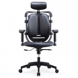 High Back Orthopaedic Ergonomic BIFMA Chair: H70