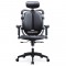 High Back Orthopaedic Ergonomic BIFMA Chair: H70