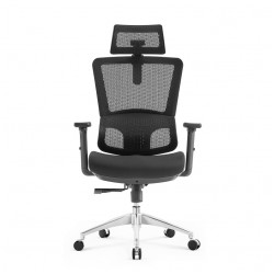 High Back Luxury Ergonomic Mesh Office Chair + 2d Headrest: Ergo-H