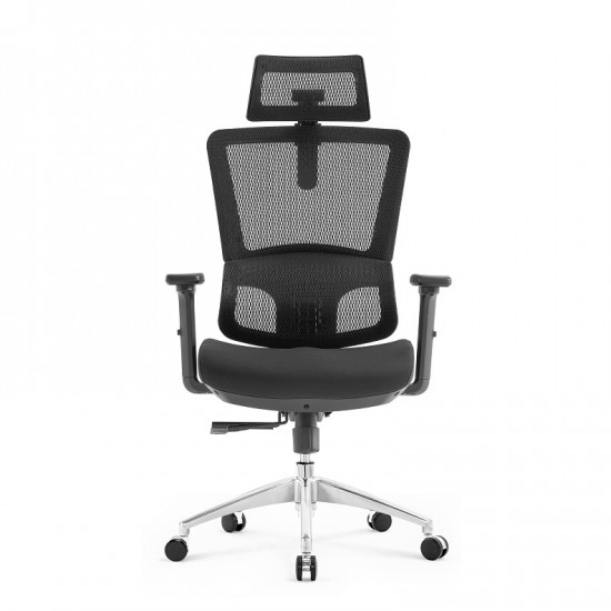 High Back Luxury Ergonomic Mesh Office Chair + 2d Headrest: Ergo-H