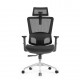 High Back Luxury Ergonomic Mesh Office Chair + 2d Headrest: Ergo-H