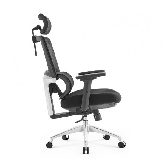 High Back Luxury Ergonomic Mesh Office Chair + 2d Headrest: Ergo-H