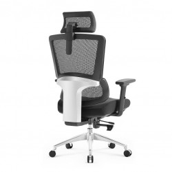 High Back Luxury Ergonomic Mesh Office Chair + 2d Headrest: Ergo-H