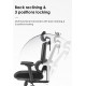 High Back Luxury Ergonomic Mesh Office Chair + 2d Headrest: Ergo-H