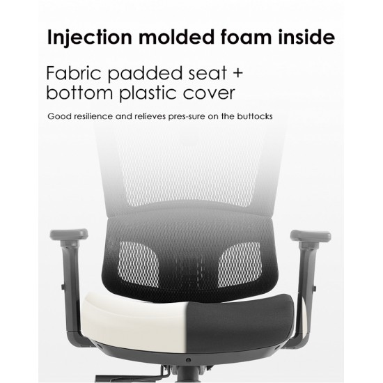 High Back Luxury Ergonomic Mesh Office Chair + 2d Headrest: Ergo-H