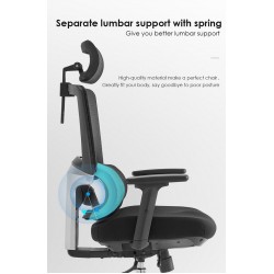 High Back Luxury Ergonomic Mesh Office Chair + 2d Headrest: Ergo-H