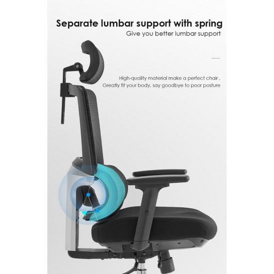High Back Luxury Ergonomic Mesh Office Chair + 2d Headrest: Ergo-H