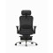 High Back Ergonomic Mesh Office Chair + 2d Headrest: Syno-H