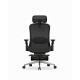 High Back Ergonomic Mesh Office Chair + 2d Headrest: Syno-H