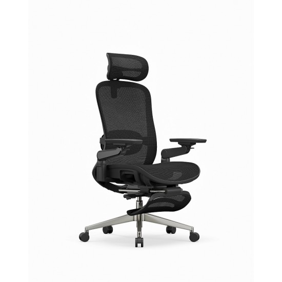 High Back Ergonomic Mesh Office Chair + 2d Headrest: Syno-H-M