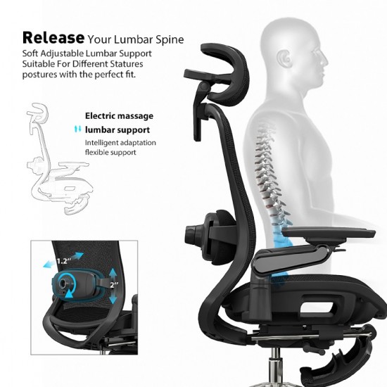 High Back Ergonomic Mesh Office Chair + 2d Headrest: Syno-H
