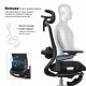 High Back Ergonomic Mesh Office Chair + 2d Headrest: Syno-H