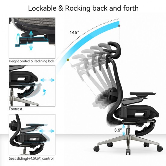 High Back Ergonomic Mesh Office Chair + 2d Headrest: Syno-H