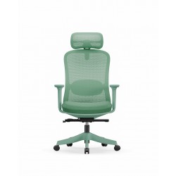 High Back Ergonomic Mesh Office Chair + 2d Headrest: Syno-H (Green frame)
