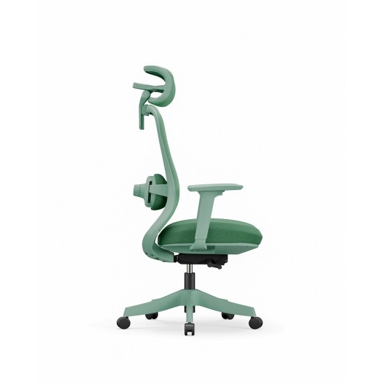 High Back Ergonomic Mesh Office Chair + 2d Headrest: Syno-H