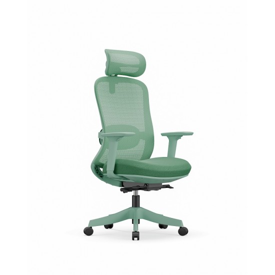 High Back Ergonomic Mesh Office Chair + 2d Headrest: Syno-H (Green frame)