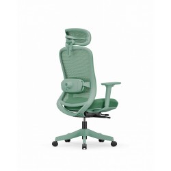 High Back Ergonomic Mesh Office Chair + 2d Headrest: Syno-H (Green frame)