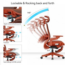 High Back Ergonomic Mesh Office Chair + 2d Headrest: Syno-HR- M