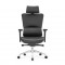 High Back Luxury Ergonomic Mesh Office Chair + 2d Headrest: Ergo-H (PU,4D)