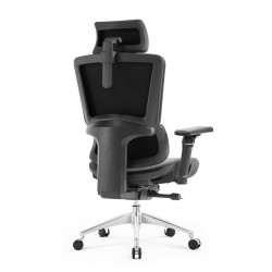 High Back Luxury Ergonomic Mesh Office Chair + 2d Headrest: Ergo-H (PU,4D)