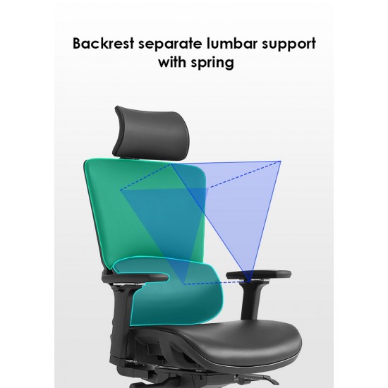 High Back Luxury Ergonomic Mesh Office Chair + 2d Headrest: Ergo-H (PU,4D)