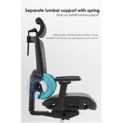 High Back Luxury Ergonomic Mesh Office Chair + 2d Headrest: Ergo-H (PU,4D)
