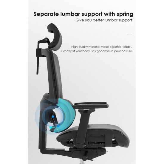 High Back Luxury Ergonomic Mesh Office Chair + 2d Headrest: Ergo-H (PU,4D)