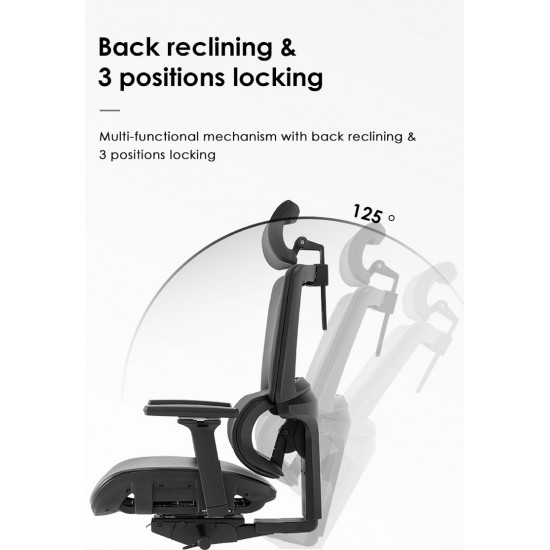 High Back Luxury Ergonomic Mesh Office Chair + 2d Headrest: Ergo-H (PU,4D)