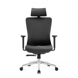 High Back Ergonomic Mesh Office Chair With 2d Headrest & Cloth Hanger: Prima-H