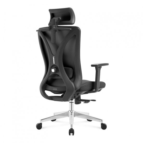 High Back Ergonomic Mesh Office Chair With 2d Headrest & Cloth Hanger: Prima-H