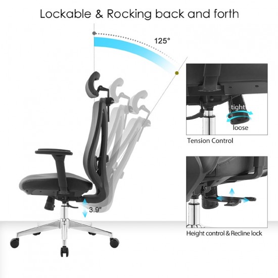 High Back Ergonomic Mesh Office Chair With 2d Headrest & Cloth Hanger: Prima-H