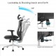 High Back Ergonomic Mesh Office Chair With 2d Headrest & Cloth Hanger: Prima-H